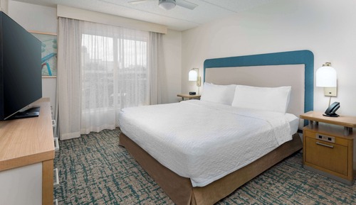 Suite, 1 King Bed with Sofa bed, Accessible, Bathtub (Hearing)