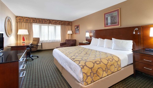 Deluxe Room, 1 King Bed, Non Smoking, Refrigerator