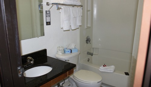 Room, 1 Queen Bed, Non Smoking (Pet Friendly)
