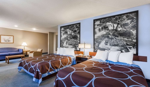 Studio Suite, 2 Queen Beds, Non Smoking