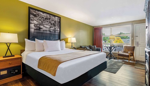 Room, 1 King Bed, Non Smoking, Refrigerator