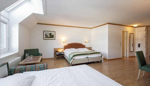 Superior Double or Twin Room