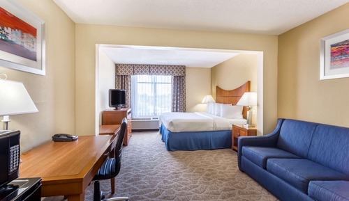 Standard Room, 1 King Bed with Sofa bed, Refrigerator & Microwave