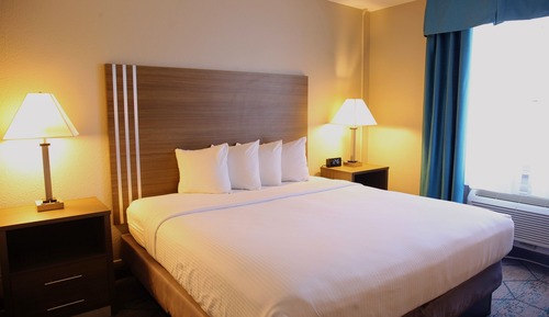 Room, 1 King Bed, Non Smoking