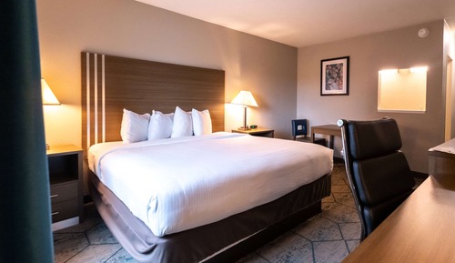 Room, 1 King Bed, Smoking