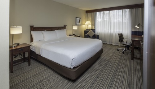 Room, Accessible (Roll-in Shower)