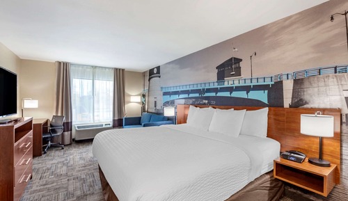 Standard Room, 1 King Bed with Sofa bed, Non Smoking