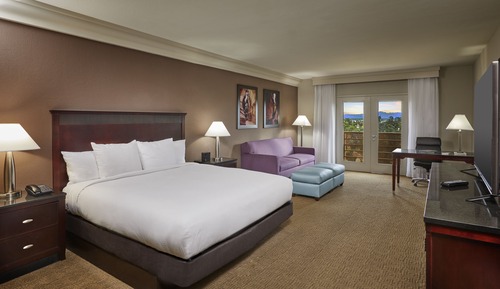 Room, 1 King Bed with Sofa bed