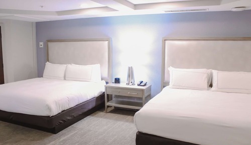 Room, Multiple Beds
