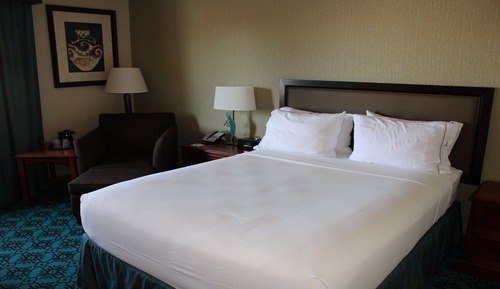 Standard Room, 1 Queen Bed, Accessible, Non Smoking (Mobility)