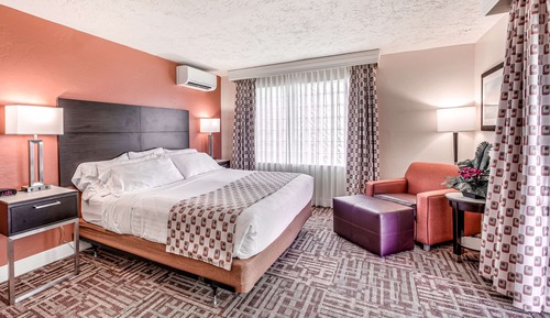 Room, 1 King Bed, Accessible, Balcony (Roll-In Shower)