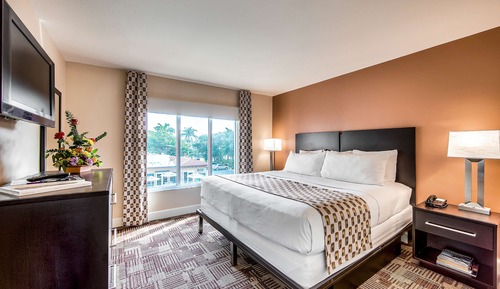 Suite, 1 Bedroom