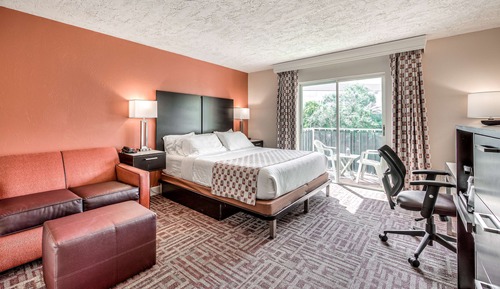 Room, 1 King Bed