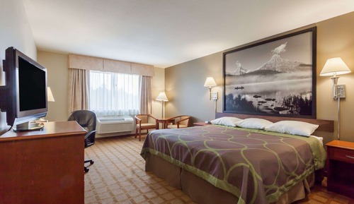 Standard Room, 1 Queen Bed, Accessible, Non Smoking