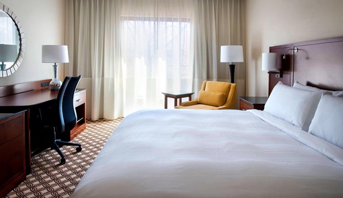 Room, 1 King Bed (Mobility/Hearing Accessible, Tub)
