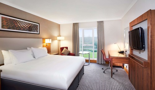 Room, 1 King Bed