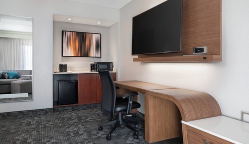 Suite, 1 King Bed with Sofa bed