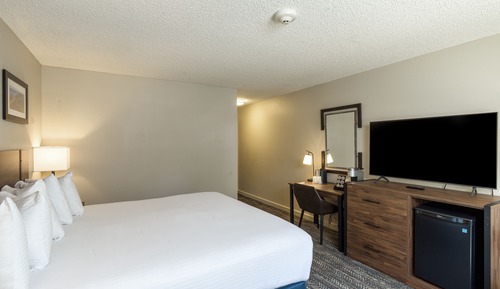 Room, 1 King Bed (East, Sorry No Pets)