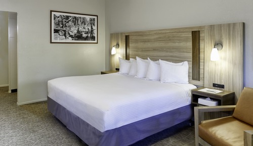 Room, 1 King Bed (West, Sorry No Pets)