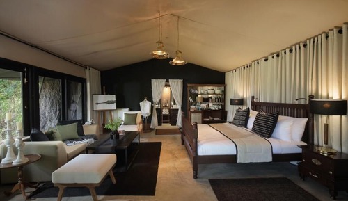 Suite Tent with Plunge Pool