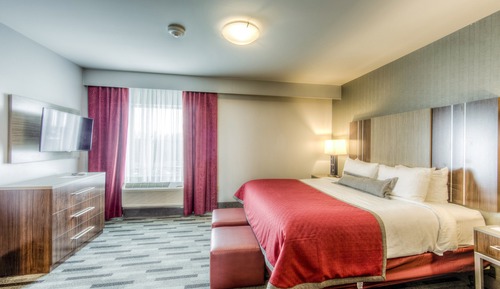 Suite, 1 Bedroom, Kitchen