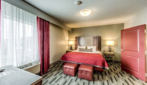 Suite, 1 Bedroom, Accessible, Kitchen (Comm, Tran Shwr)