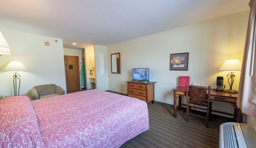 Standard Single Room