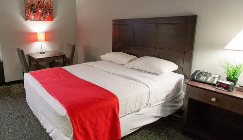 Standard Room, 1 Queen Bed, Non Smoking, Refrigerator & Microwave