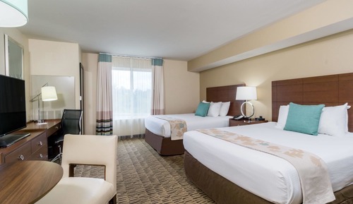 Suite, 2 Queen Bed (with Sofa Bed)