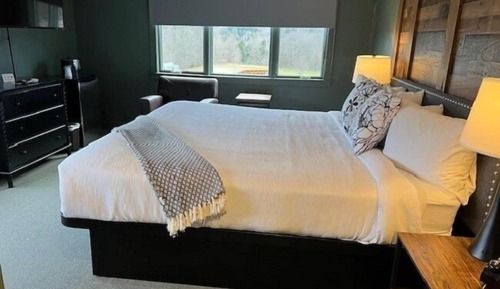 Room, 1 King Bed