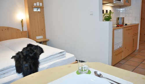 Studio (Type C + 92.- cleaning fee per week)