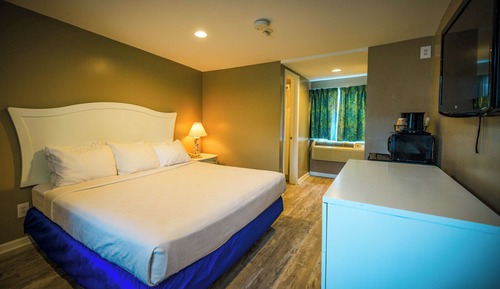 Basic Single Room