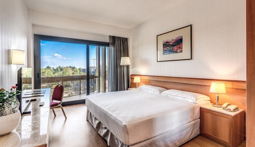 Executive Room, Balcony