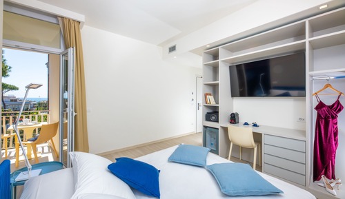 Deluxe Room, 1 Queen Bed