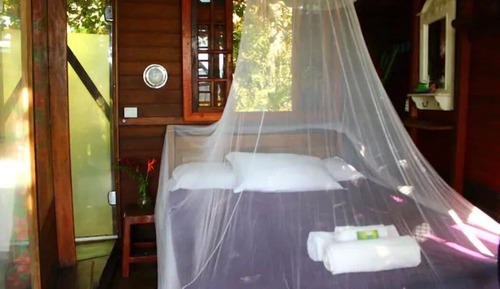 Tree House