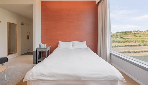 Standard Double Room (On request Discount on Bubble Spa 30%)