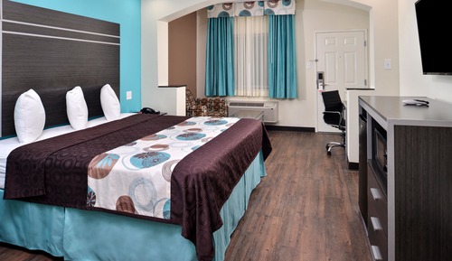 Room, 1 King Bed, Non Smoking
