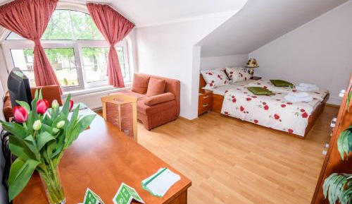 Budget Single Room