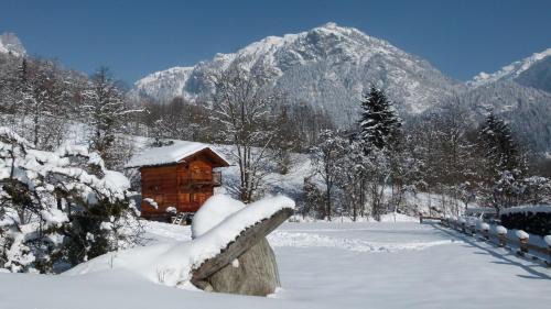 One-Bedroom Chalet