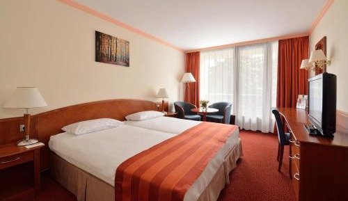 Superior Double Room with Wellness and Fitness Access