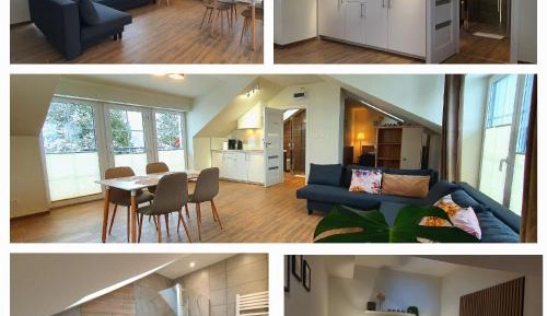 One-Bedroom Premium Apartment