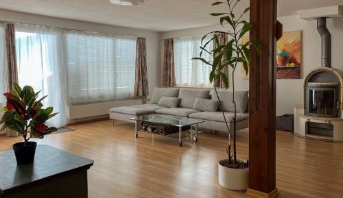 Three-Bedroom Apartment with Lake View