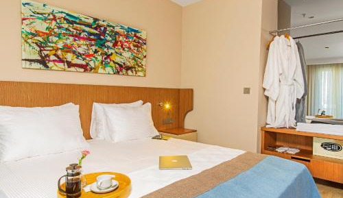 Deluxe Double or Twin Room