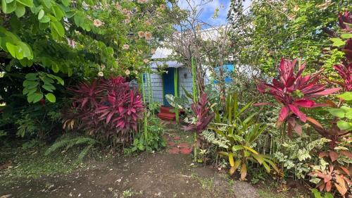 Grace's Heritage Cottage