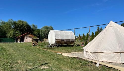 Mobile Home