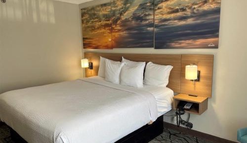 King Room - Non-Smoking