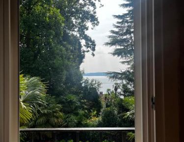 Apartment with Lake View