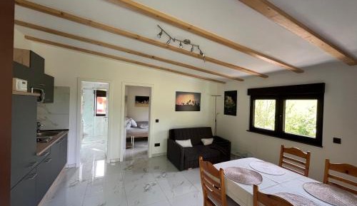 One-Bedroom Apartment with View