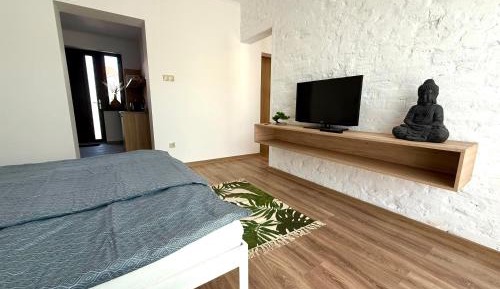 One-Bedroom Apartment with Terrace