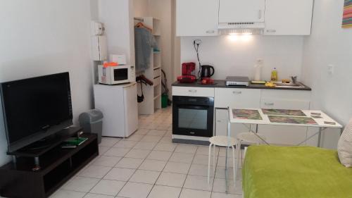 Studio Apartment